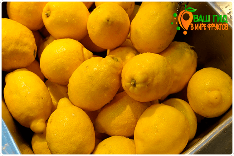 лимон фрукт