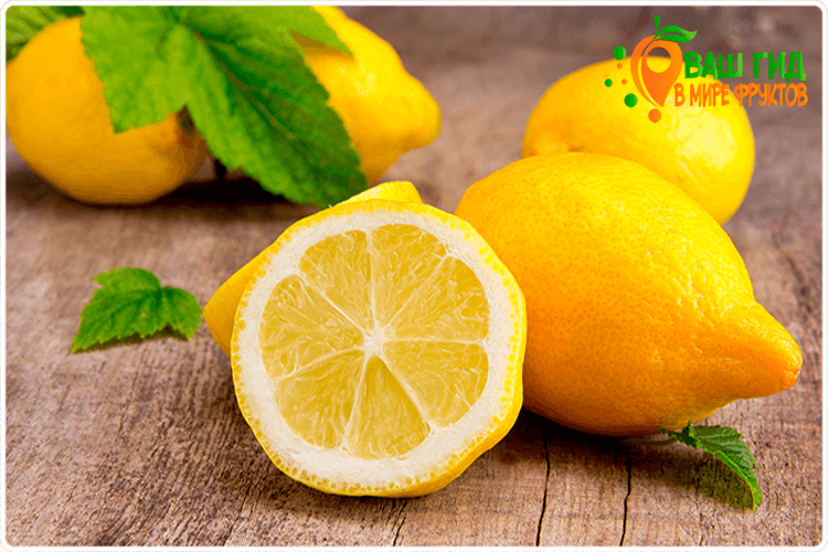 лимон в разрезе