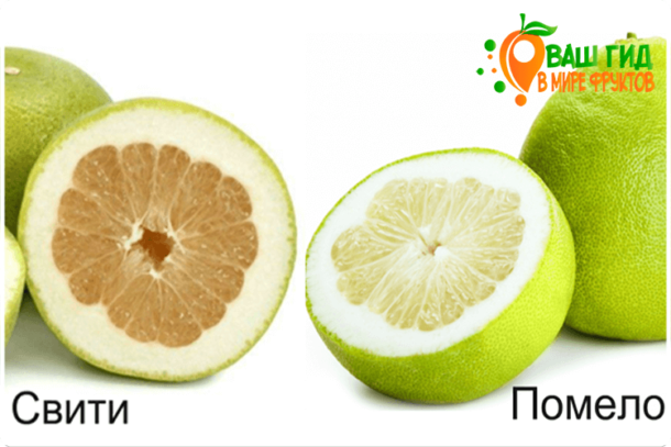 Para que es bueno el pomelo