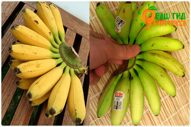 мини бананы