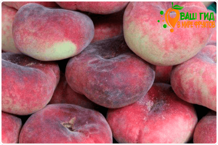 спелые фрукты персики