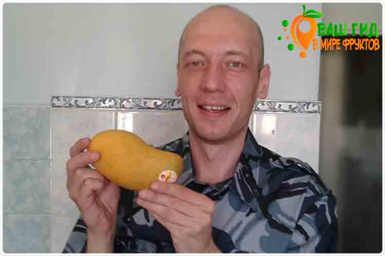 олег буянов с манго